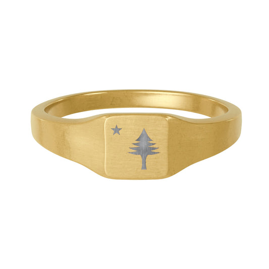 Modern 1901 Maine Flag Engraved Ring - Pine Tree & North Star - Merchant Marine Flag