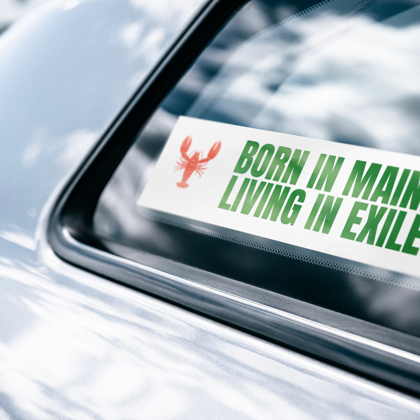Born in Maine, Living In Exile Bumper Sticker: White