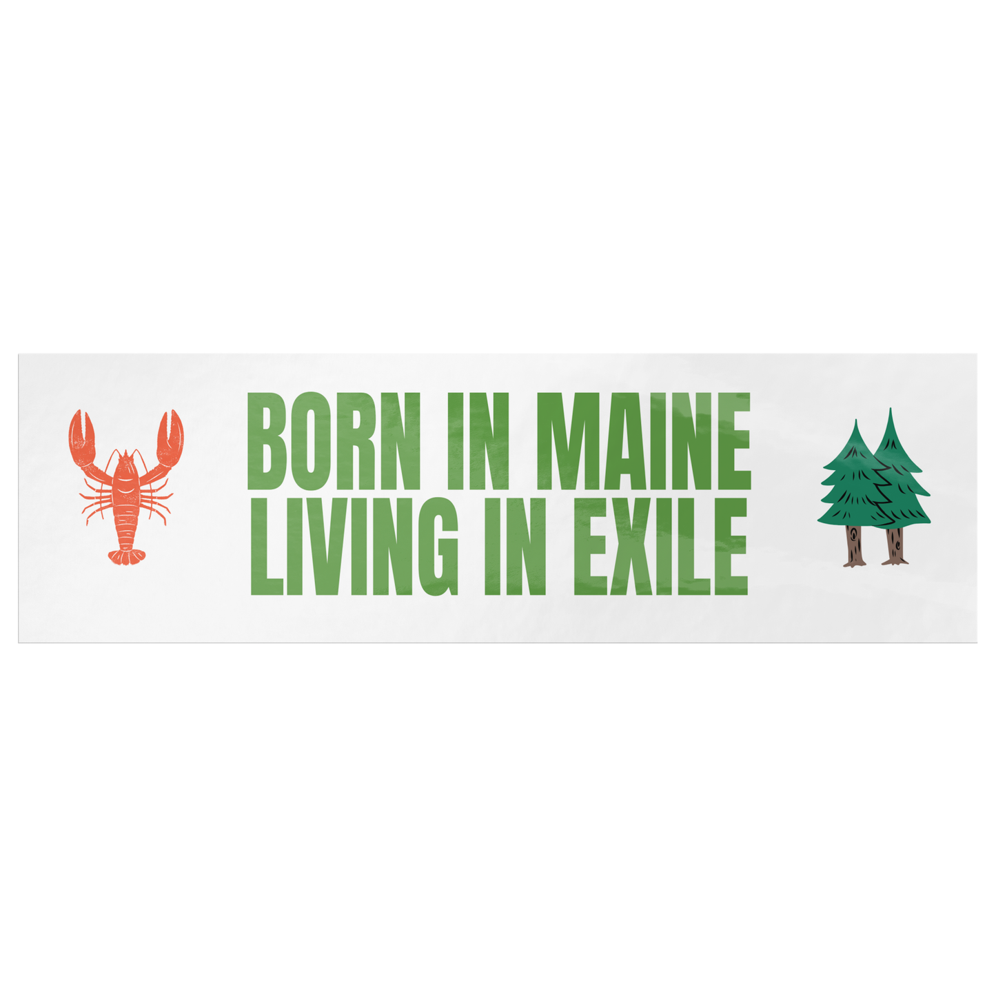 Born in Maine, Living In Exile Bumper Sticker: White